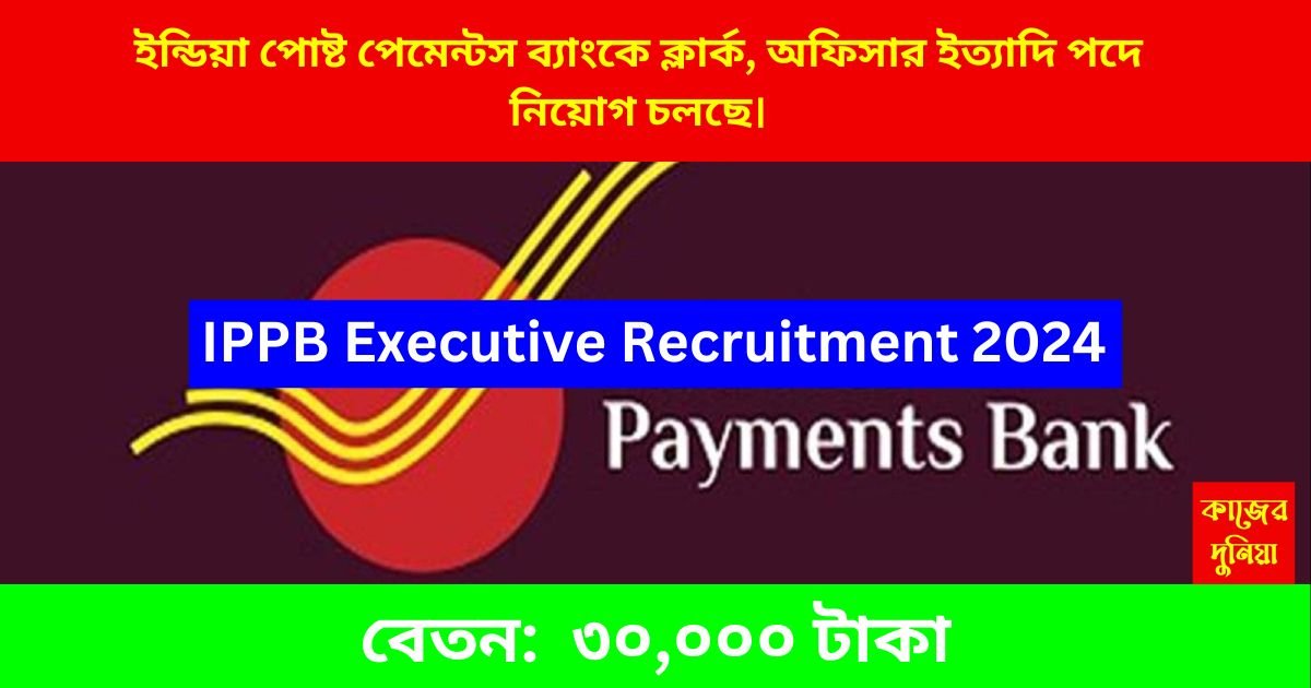 IPPB Executive Recruitment 2024