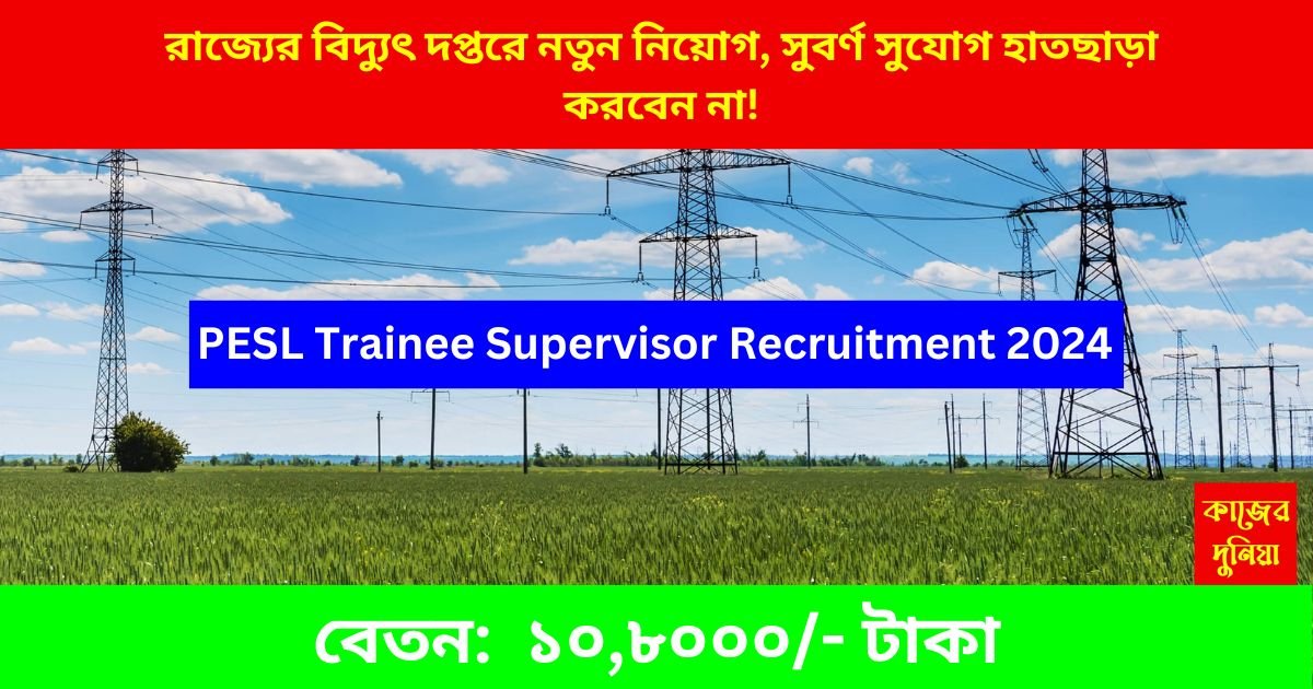 PESL Trainee Supervisor Recruitment 2024